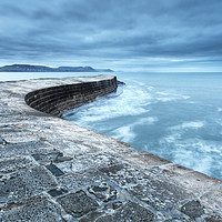 Buy canvas prints of The cobb, lyme regis,  by Martin Williams