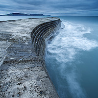 Buy canvas prints of The Cobb, Lyme Regis,  by Martin Williams