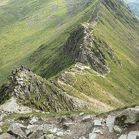 Buy canvas prints of Striding Edge viewed from Helvellyn by Martin Williams