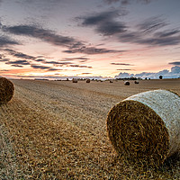 Buy canvas prints of Summer Bales by Martin Williams