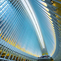 Buy canvas prints of The interior of the Oculus, New York with saturated colours by Martin Williams