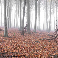 Buy canvas prints of Dens in the wood by Martin Williams