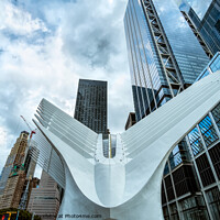 Buy canvas prints of Taking flight - the Oculus by Martin Williams
