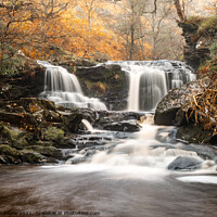 Buy canvas prints of Water Arc Foss waterfall Goathland  by Martin Williams