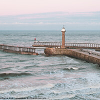 Buy canvas prints of Whitby piers viewed from West Cliff by Martin Williams