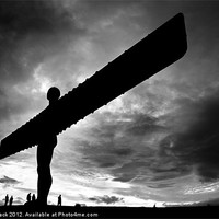 Buy canvas prints of Angel of the North by Paul Black