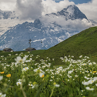 Buy canvas prints of  The Eiger from First by Joe Tinkler