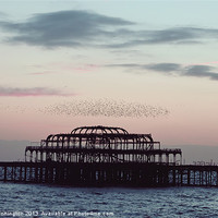Buy canvas prints of Brighton Old Pier by Tim Pennington