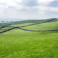 Buy canvas prints of The Dales by Jonathan Parkes