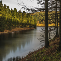 Buy canvas prints of ....just some trees and water by Jonathan Parkes