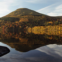 Buy canvas prints of Loweswater Gold by Cheryl Quine