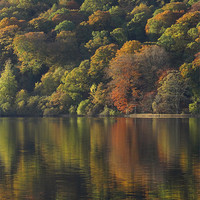 Buy canvas prints of Autumnal Reflections by Cheryl Quine