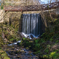 Buy canvas prints of National Botanic Garden of Wales Woodland Waterfall  by Mark Campion