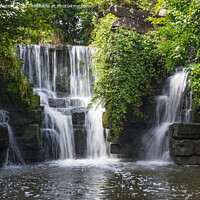Buy canvas prints of Welsh Woodland Waterfall  by Mark Campion