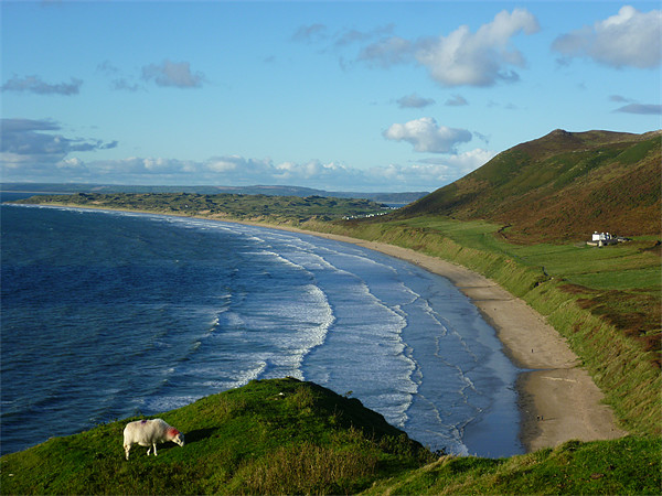 Rhossili Bay: Best Beach in UK Picture Board by Mark Campion