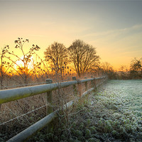 Buy canvas prints of Eye -Bridge Frost by Andrew Bannister