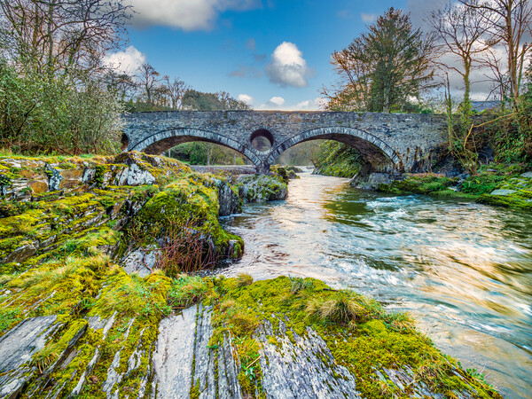 Cenarth Falls, Wales, UK Picture Board by Mark Llewellyn
