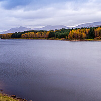 Buy canvas prints of Loch Laggan View by Mark Llewellyn