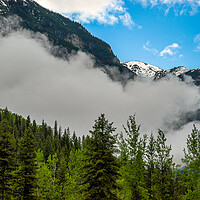Buy canvas prints of Mount Robson, Canada by Mark Llewellyn