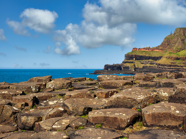 The Giants Causeway Picture Board by Mark Llewellyn