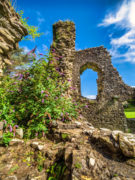 Narberth Castle, Pembrokeshire, Wales Picture Board by Mark Llewellyn