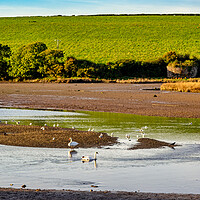 Buy canvas prints of Newport Marshes by Mark Llewellyn