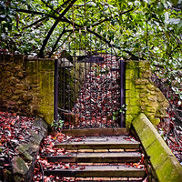 Buy canvas prints of Llandaff Cathedral Steps, Cardiff, Wales, UK by Mark Llewellyn