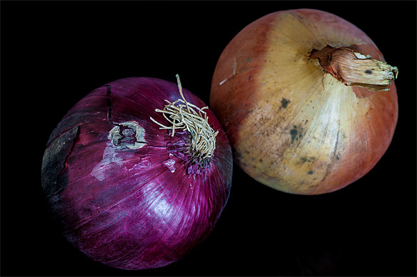 Onions Picture Board by Mark Llewellyn