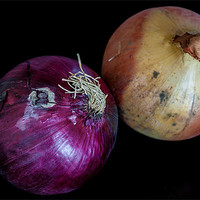Buy canvas prints of Onions by Mark Llewellyn