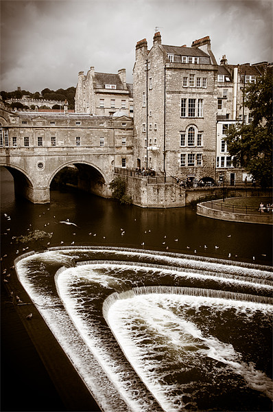 Pulteney Weir, Bath, England, UK Picture Board by Mark Llewellyn