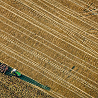 Buy canvas prints of Ploughing the Land by Mark Llewellyn