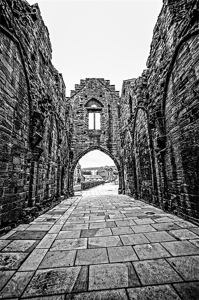 Arbroath Abbey, Scotland, UK Picture Board by Mark Llewellyn