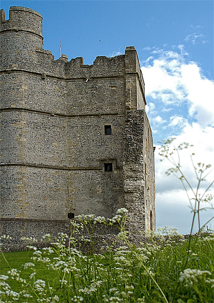 Donnington Castle Picture Board by Mark Llewellyn