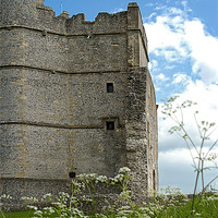 Buy canvas prints of Donnington Castle by Mark Llewellyn