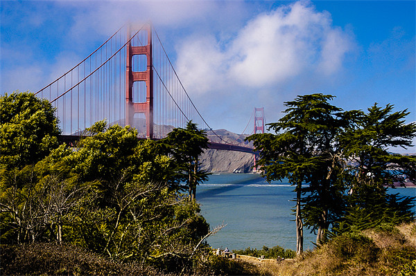 Golden Gate Bridge, San Francisco, California, USA Picture Board by Mark Llewellyn