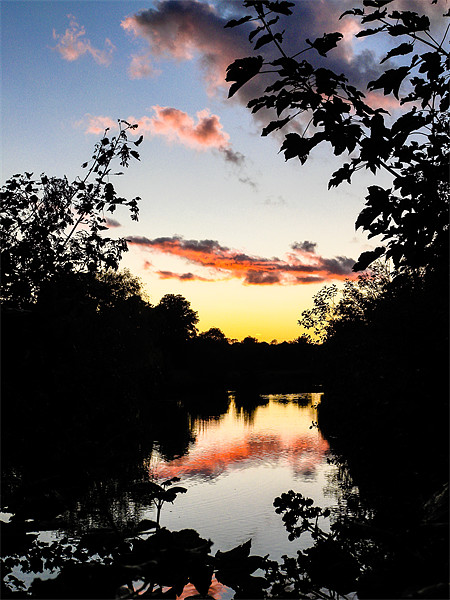River Sunset Picture Board by Mark Llewellyn