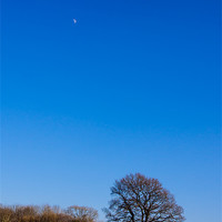 Buy canvas prints of Blue Sky Day by Mark Llewellyn