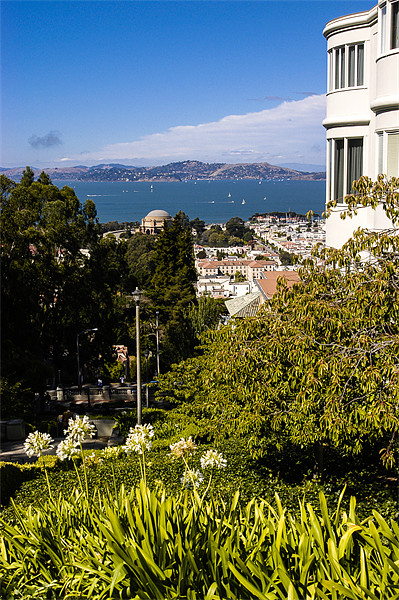 San Francisco Bay Picture Board by Mark Llewellyn