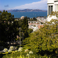 Buy canvas prints of San Francisco Bay by Mark Llewellyn