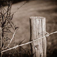 Buy canvas prints of Fence Post by Mark Llewellyn