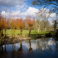 Buy canvas prints of River Kennet by Mark Llewellyn