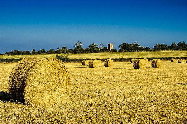 Hay Bales Picture Board by Mark Llewellyn