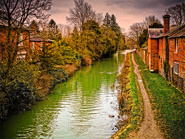 Canal at Hungerford Picture Board by Mark Llewellyn
