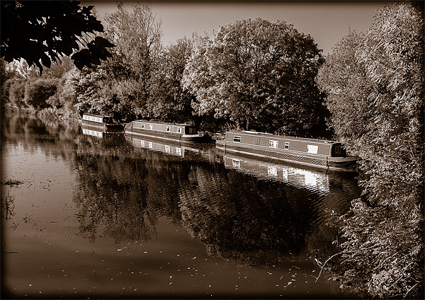 Moored Canal Boats, Kintbury, Berkshire, England,  Picture Board by Mark Llewellyn