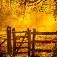 Buy canvas prints of Gate to Nowhere by Mark Llewellyn