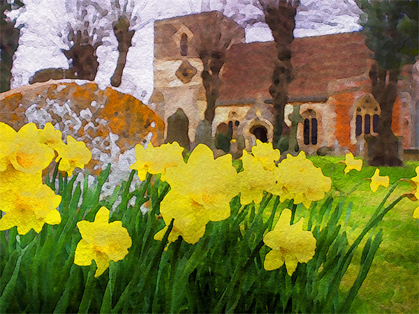Spring Daffodils Picture Board by Mark Llewellyn