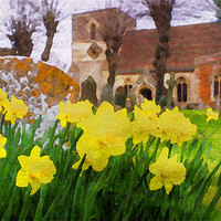 Buy canvas prints of Spring Daffodils by Mark Llewellyn