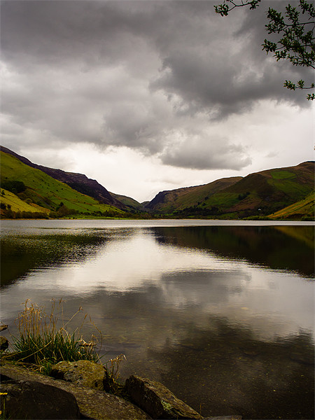 Talyllyn Lake, Snowdonia, Wales, UK Picture Board by Mark Llewellyn