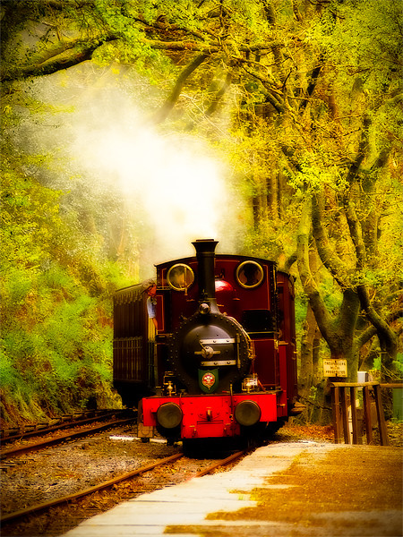 Talyllyn Railway Dolgoch, Wales, UK Picture Board by Mark Llewellyn