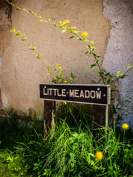 Little Meadow Picture Board by Mark Llewellyn